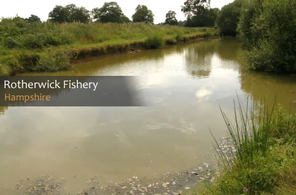 Rotherwick Fishery