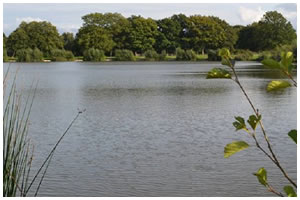 Whinwhistle Fishing Lakes
