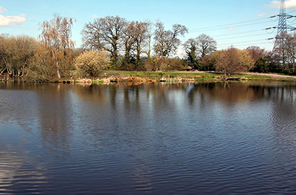 Whinwhistle Fishing Lakes