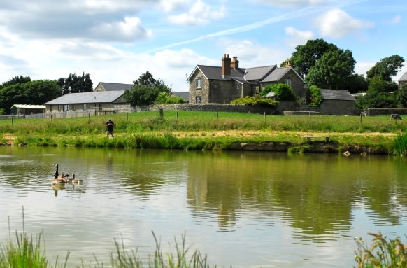 Nettlecombe Farm