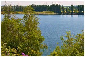 Buckland Lake Reserve