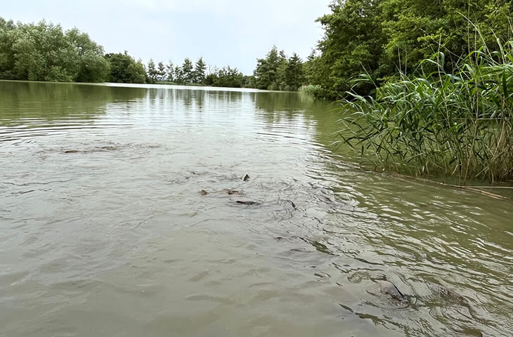Chart Hill Lakes