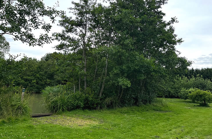 Chart Hill Lakes