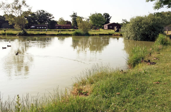 Chequertree Fishery