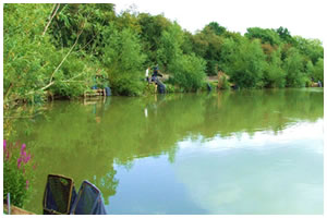 Claygate Fishing Lakes