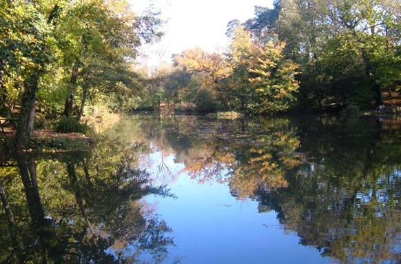 Majors Lakes