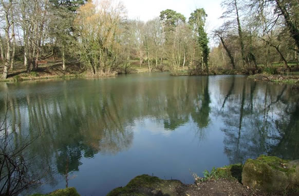 Majors Lakes