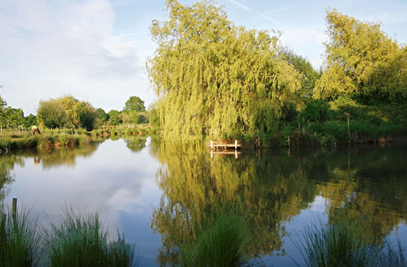 Manor Fisheries Lakes