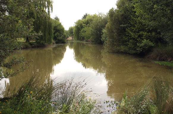 Manor Fisheries Lakes
