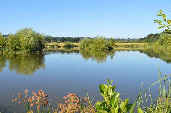 Orchard Place Farm Lakes