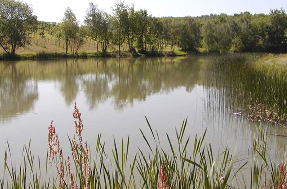 Park Farm Reservoir