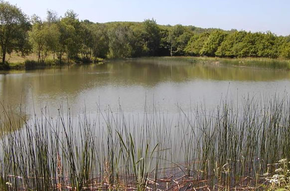 Park Farm Reservoir
