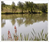 Park Farm Reservoir
