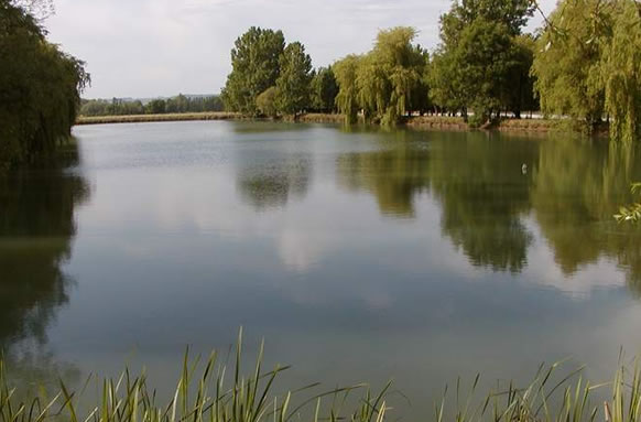 Pattenden Lane Reservoir