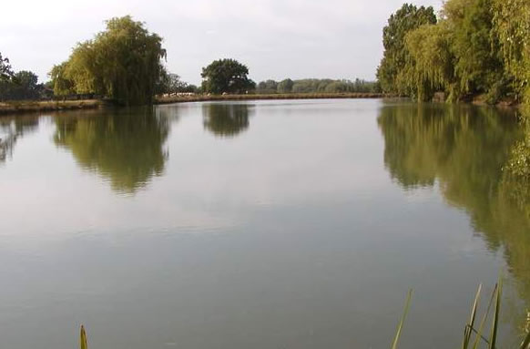 Pattenden Lane Reservoir