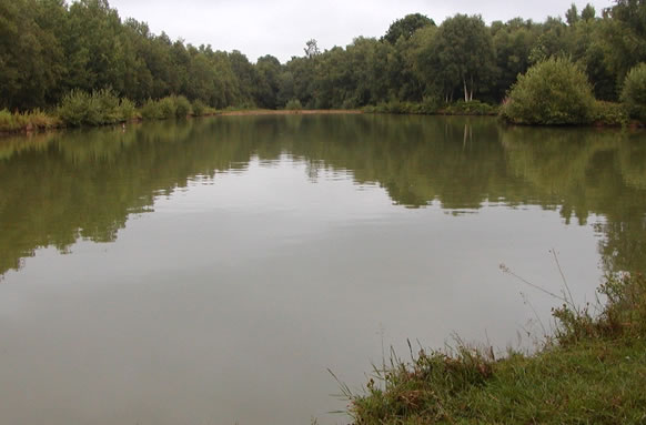 Saw Lodge Farm Lakes