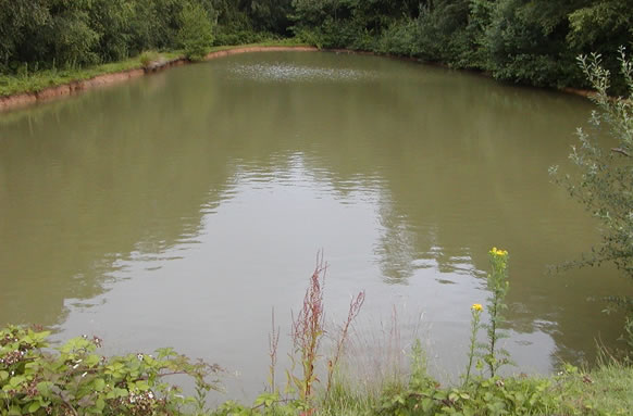 Saw Lodge Farm Lakes