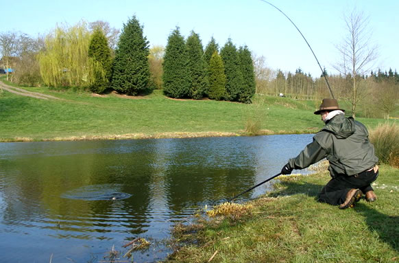 Spring Hill Trout Lakes