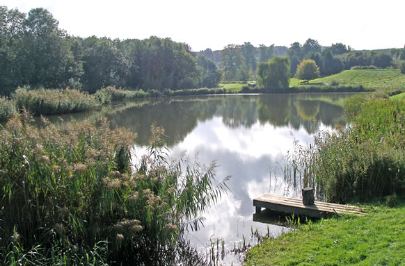 Spring Hill Trout Fishery