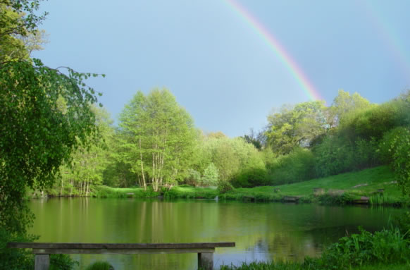 Frensham Trout Fishery