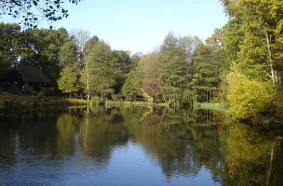 Frensham Trout Fishery