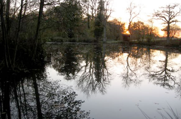 Ladycross Farm Fishing Lake