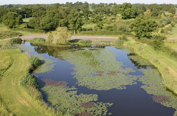 Copse Lake