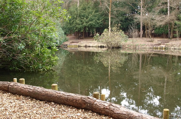 Rushmoor Fishing Lakes