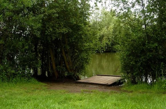 Thorpe Lea Fishery