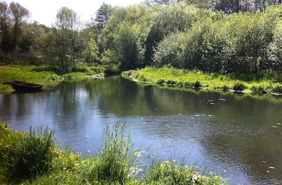 Tillingbourne Fishery