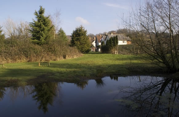 Tillingbourne Fishery