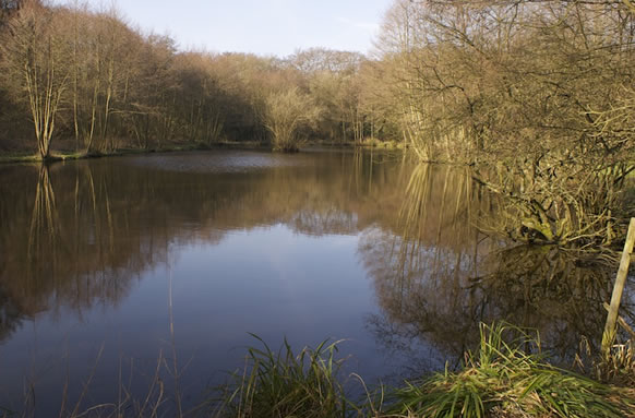Tillingbourne Fishery