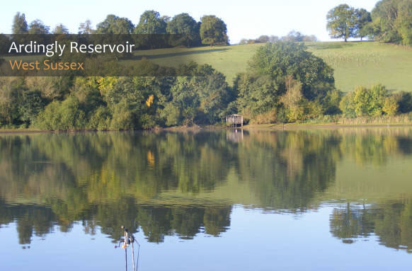 Ardingly Reservoir