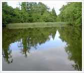Duncans Pond