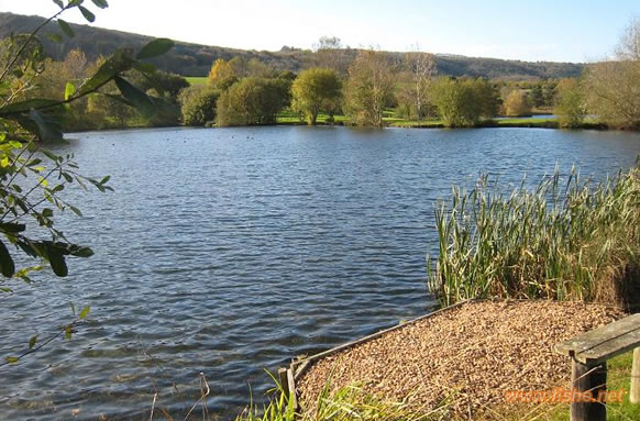 Dunction Mill Lakes Trout Fishery