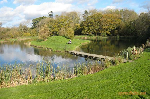 Dunction Mill Lakes Trout Fishery