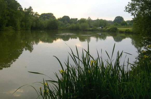 Five Oaks Fishery