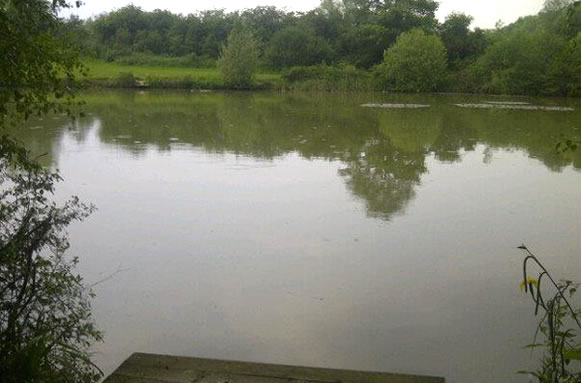 Five Oaks Fishery