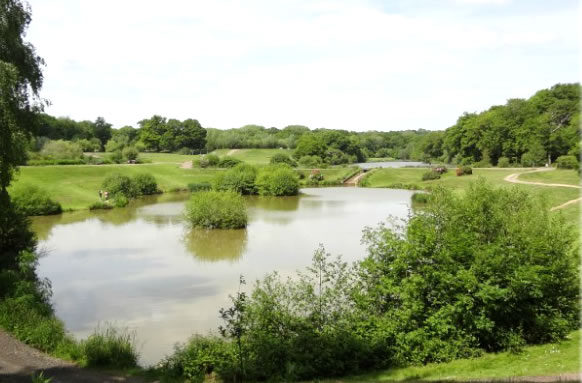 Furnace Lakes Fishery