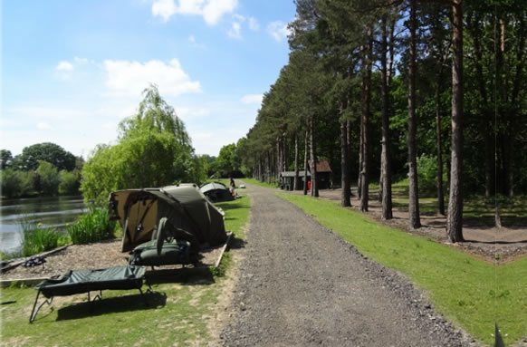 Furnace Lakes Fishery