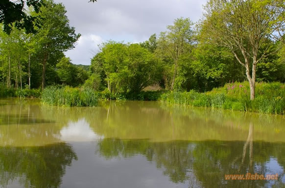 Goose Green Fishing Lakes