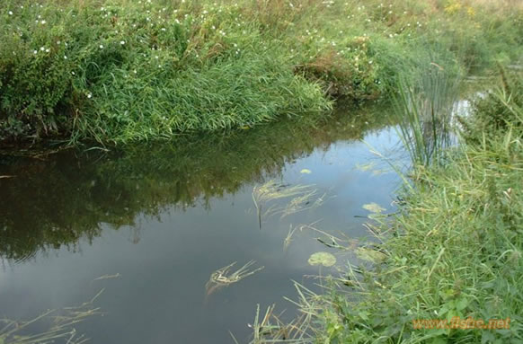 River Adur