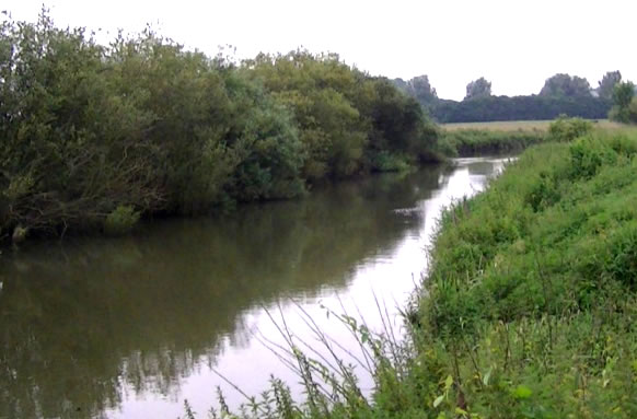 River Arun