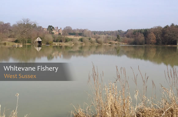Whitevane Carp Fishery
