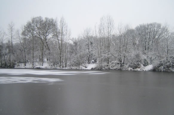 Wintons Fishery