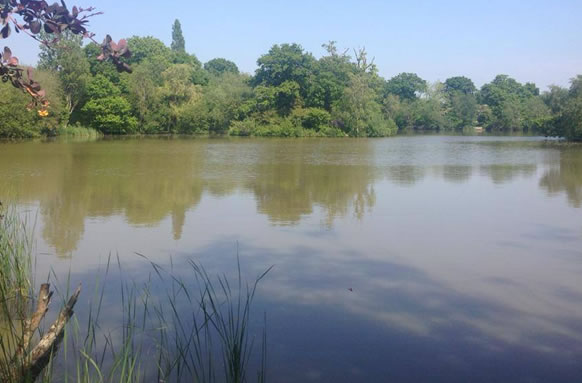 Wintons Fishery
